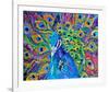 Cacophony Of Color-null-Framed Art Print