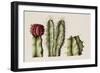 Cacti, 1999-Annabel Barrett-Framed Giclee Print