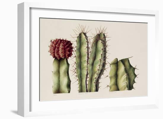 Cacti, 1999-Annabel Barrett-Framed Giclee Print