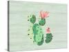 Cacti 2-Kimberly Allen-Stretched Canvas