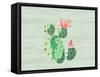 Cacti 2-Kimberly Allen-Framed Stretched Canvas