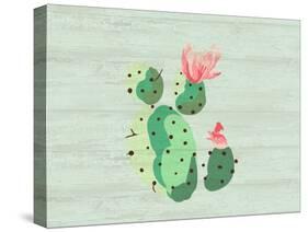 Cacti 2-Kimberly Allen-Stretched Canvas