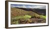 Cacti and Succulents Close Playa Del InglŽs, Gran Canaria, Canary Islands, Spain-Rainer Mirau-Framed Photographic Print