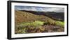 Cacti and Succulents Close Playa Del InglŽs, Gran Canaria, Canary Islands, Spain-Rainer Mirau-Framed Photographic Print