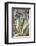 Cacti Cactus Collection - Agavaceae-Philippe Hugonnard-Framed Photographic Print