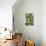 Cacti Cactus Collection - Agave Parrasana-Philippe Hugonnard-Stretched Canvas displayed on a wall