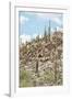 Cacti Cactus Collection - Cacti Hill-Philippe Hugonnard-Framed Photographic Print