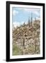 Cacti Cactus Collection - Cacti Hill-Philippe Hugonnard-Framed Photographic Print