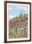 Cacti Cactus Collection - Cacti Hill-Philippe Hugonnard-Framed Photographic Print