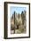 Cacti Cactus Collection - Cactus Desert Hill-Philippe Hugonnard-Framed Photographic Print