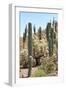 Cacti Cactus Collection - Cactus Desert Hill-Philippe Hugonnard-Framed Photographic Print