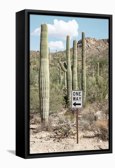 Cacti Cactus Collection - One Way-Philippe Hugonnard-Framed Stretched Canvas