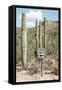 Cacti Cactus Collection - One Way-Philippe Hugonnard-Framed Stretched Canvas