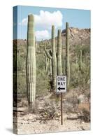 Cacti Cactus Collection - One Way-Philippe Hugonnard-Stretched Canvas