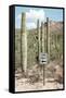 Cacti Cactus Collection - One Way-Philippe Hugonnard-Framed Stretched Canvas