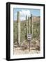 Cacti Cactus Collection - One Way-Philippe Hugonnard-Framed Photographic Print