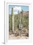 Cacti Cactus Collection - One Way-Philippe Hugonnard-Framed Photographic Print