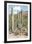 Cacti Cactus Collection - One Way-Philippe Hugonnard-Framed Photographic Print