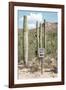 Cacti Cactus Collection - One Way-Philippe Hugonnard-Framed Photographic Print