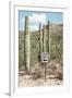 Cacti Cactus Collection - One Way-Philippe Hugonnard-Framed Photographic Print