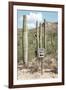 Cacti Cactus Collection - One Way-Philippe Hugonnard-Framed Photographic Print