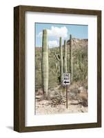 Cacti Cactus Collection - One Way-Philippe Hugonnard-Framed Photographic Print