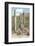 Cacti Cactus Collection - One Way-Philippe Hugonnard-Framed Photographic Print