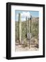 Cacti Cactus Collection - One Way-Philippe Hugonnard-Framed Photographic Print