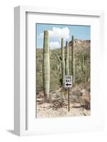 Cacti Cactus Collection - One Way-Philippe Hugonnard-Framed Photographic Print