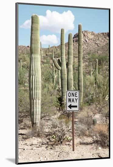 Cacti Cactus Collection - One Way-Philippe Hugonnard-Mounted Photographic Print