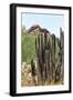 Cacti Cactus Collection - Red Rock Desert-Philippe Hugonnard-Framed Photographic Print