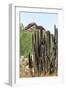 Cacti Cactus Collection - Red Rock Desert-Philippe Hugonnard-Framed Photographic Print