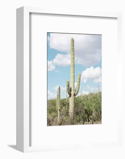 Cacti Cactus Collection - Saguaro Cactus Desert-Philippe Hugonnard-Framed Photographic Print