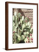 Cacti Cactus Collection - The Prickly Pear-Philippe Hugonnard-Framed Photographic Print