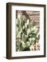 Cacti Cactus Collection - The Prickly Pear-Philippe Hugonnard-Framed Photographic Print