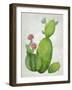 Cacti Collection I-Chariklia Zarris-Framed Art Print