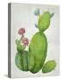 Cacti Collection I-Chariklia Zarris-Stretched Canvas