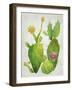 Cacti Collection II-Chariklia Zarris-Framed Art Print