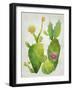 Cacti Collection II-Chariklia Zarris-Framed Art Print