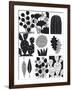 Cacti Composite-Sophie Ledesma-Framed Giclee Print