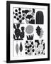 Cacti Composite-Sophie Ledesma-Framed Giclee Print