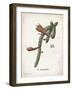 Cacti III-Gwendolyn Babbitt-Framed Art Print