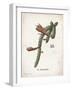 Cacti III-Gwendolyn Babbitt-Framed Art Print