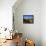 Cacti in Canon del Inca, Tupiza Chichas Range, Andes, Southwestern Bolivia, South America-Simon Montgomery-Framed Stretched Canvas displayed on a wall