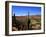 Cacti in Canon del Inca, Tupiza Chichas Range, Andes, Southwestern Bolivia, South America-Simon Montgomery-Framed Photographic Print