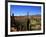 Cacti in Canon del Inca, Tupiza Chichas Range, Andes, Southwestern Bolivia, South America-Simon Montgomery-Framed Photographic Print