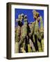 Cacti in Canon del Inca, Tupiza Chichas Range, Andes, Southwestern Bolivia, South America-Simon Montgomery-Framed Photographic Print