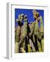 Cacti in Canon del Inca, Tupiza Chichas Range, Andes, Southwestern Bolivia, South America-Simon Montgomery-Framed Photographic Print