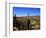 Cacti in Canon del Inca, Tupiza Chichas Range, Andes, Southwestern Bolivia, South America-Simon Montgomery-Framed Photographic Print