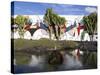 Cacti in Garden, Fundacion Cesar Manrique, Taro de Tahiche, Lanzarote, Canary Islands, Spain-Stuart Black-Stretched Canvas